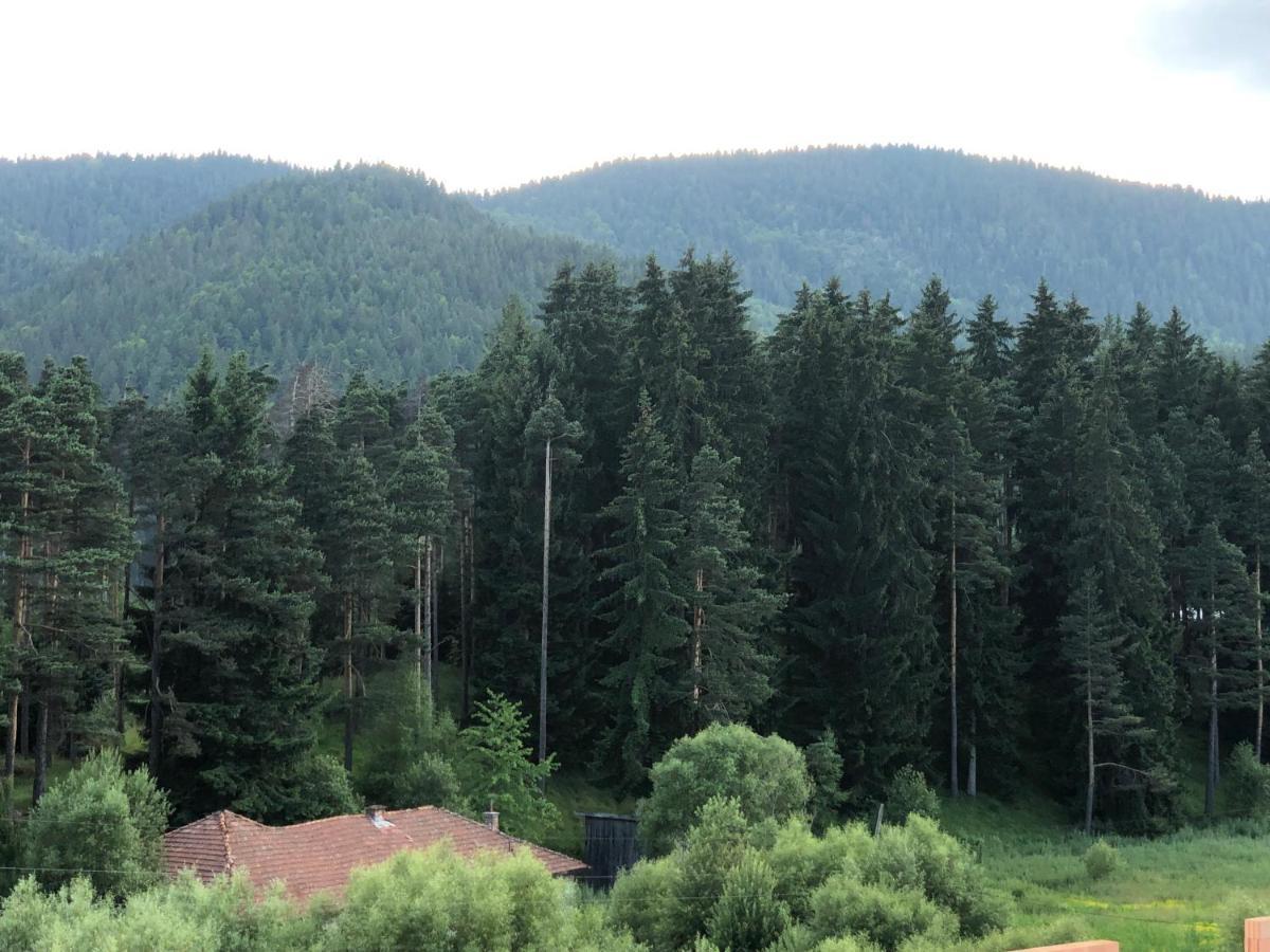 Family Hotel Panorama Sarnitsa ภายนอก รูปภาพ