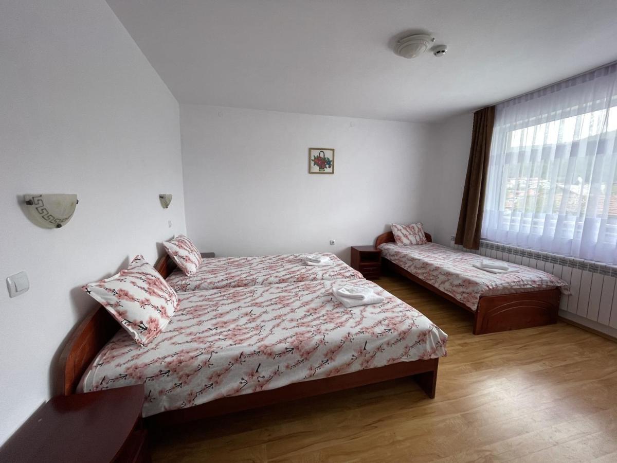 Family Hotel Panorama Sarnitsa ภายนอก รูปภาพ
