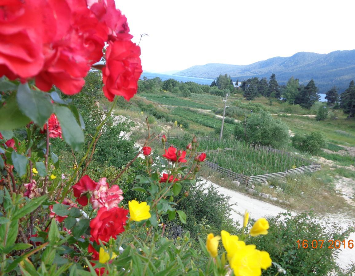 Family Hotel Panorama Sarnitsa ภายนอก รูปภาพ